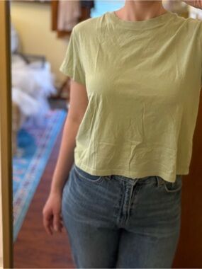 American Eagle crew neck cropped baby tee light pale neutral green 100% cotton